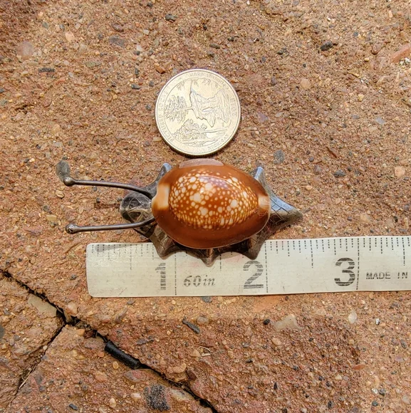 *RARE* epic genuine cowrie shell 925 sterling silver snail brooch